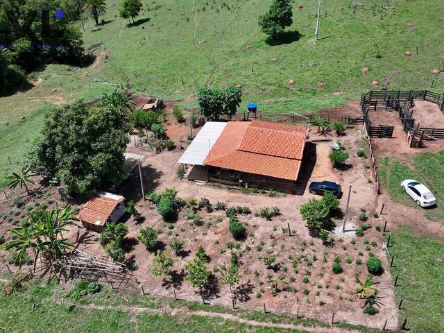 Sítio para Venda em Hidrolândia - 4