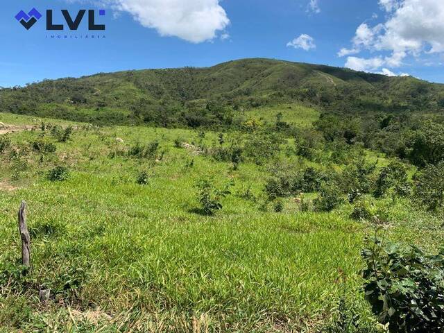 #96 - Chácara para Venda em Mimoso de Goiás - GO