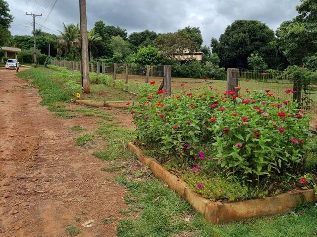 #98 - Chácara para Venda em Hidrolândia - GO - 2