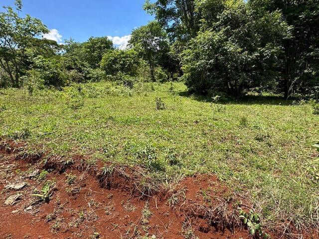 Fazenda para Venda em Barro Alto - 4