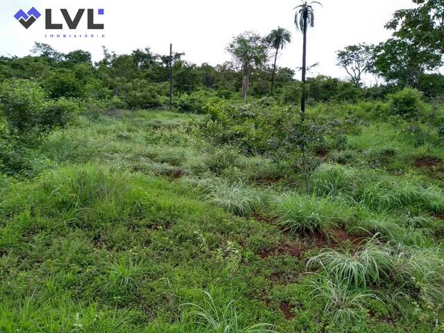 Fazenda para Venda em Barro Alto - 5