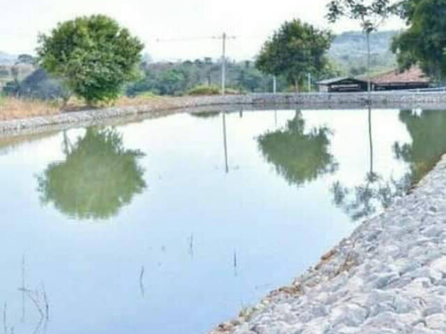 #103 - Fazenda para Venda em Goianira - GO - 3