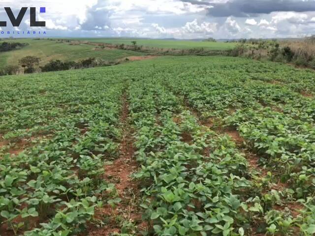 #114 - Fazenda para Venda em Água Fria de Goiás - GO - 2