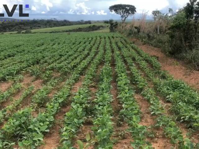 #114 - Fazenda para Venda em Água Fria de Goiás - GO - 3