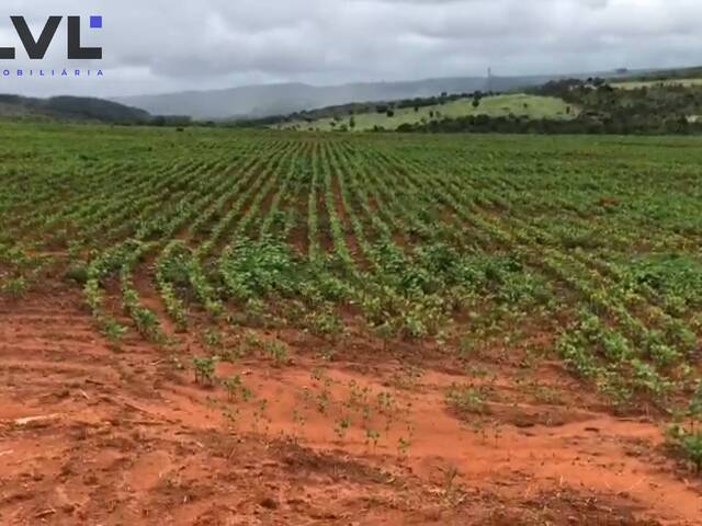 Fazenda para Venda em Água Fria de Goiás - 4