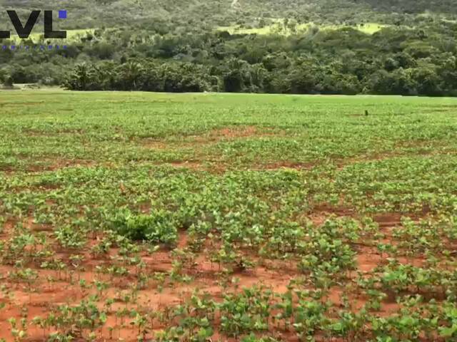 Fazenda para Venda em Água Fria de Goiás - 5