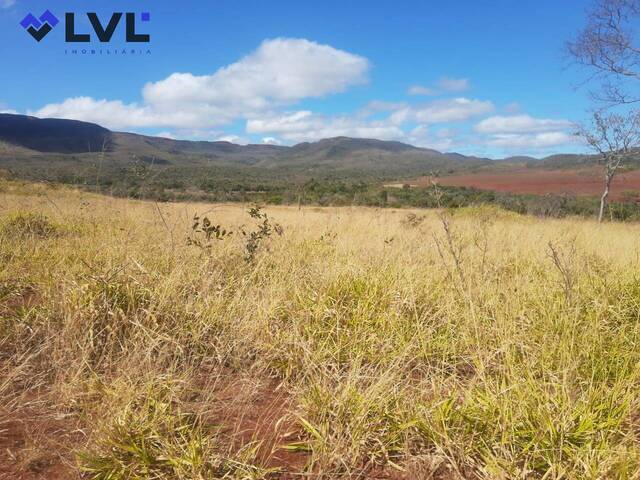 #116 - Fazenda para Venda em Niquelândia - GO - 3