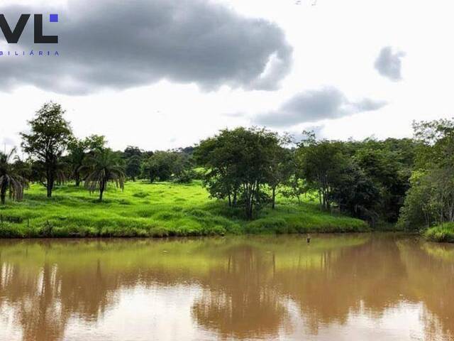 Sítio para Venda em Jandaia - 4