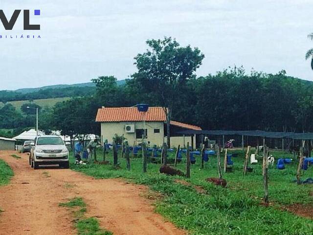 Sítio para Venda em Jandaia - 5