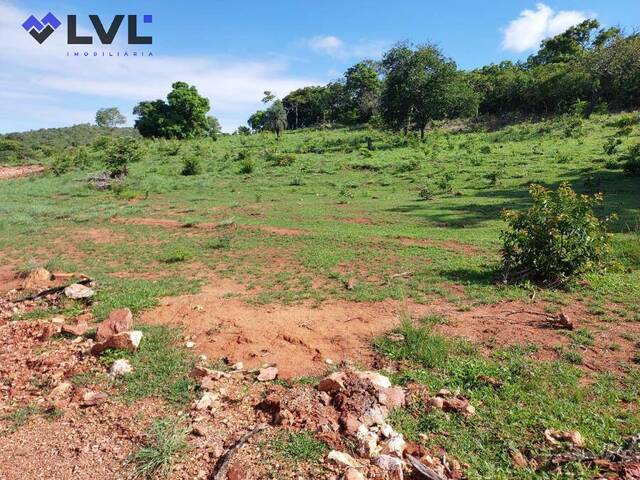 Fazenda para Venda em Faina - 5