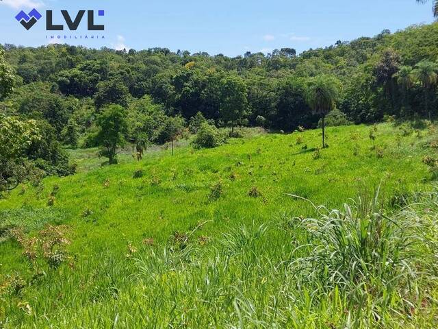 Venda em Zona Rural - Faina