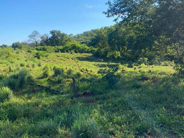#121 - Fazenda para Venda em Faina - GO - 3