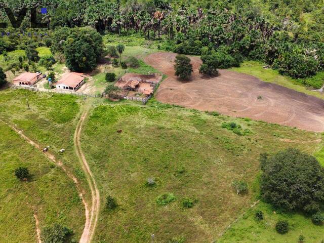 Fazenda para Venda em Presidente Kennedy - 4