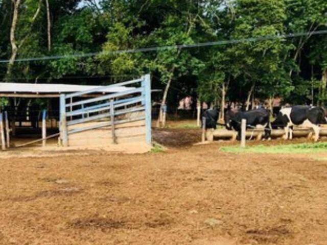 Sítio para Venda em Bela Vista de Goiás - 4