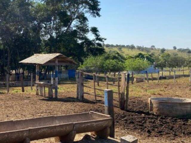 Sítio para Venda em Bela Vista de Goiás - 5
