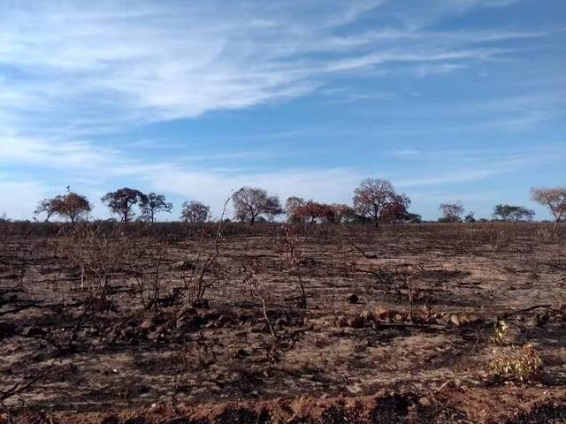 Fazenda para Venda em Guadalupe - 4