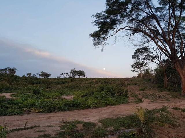 Fazenda para Venda em Guadalupe - 5