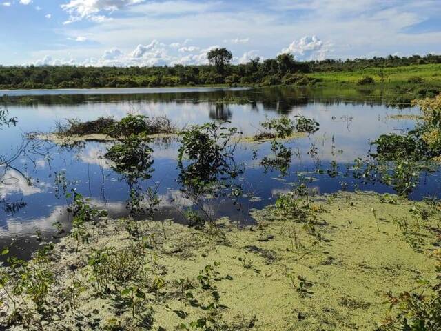 #145 - Fazenda para Venda em Guadalupe - PI - 3