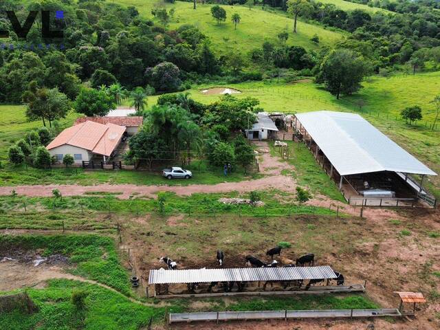#149 - Sítio para Venda em Anicuns - GO - 1