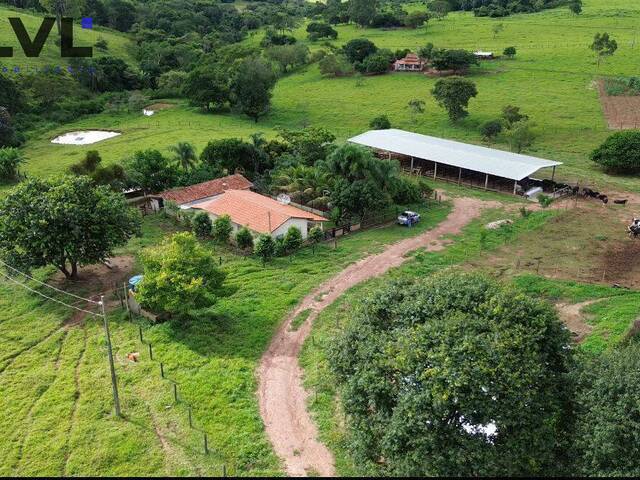 Sítio para Venda em Anicuns - 4