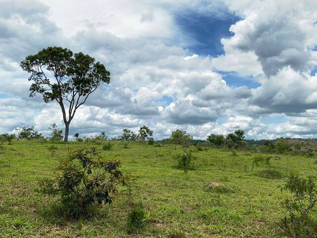Venda em Zona Rural - São Miguel do Passa Quatro