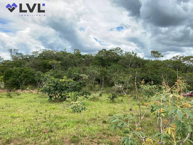 Chácara para Venda em São Miguel do Passa Quatro - 5