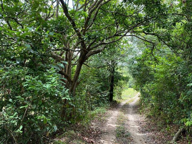 Chácara para Venda em São Miguel do Passa Quatro - 4