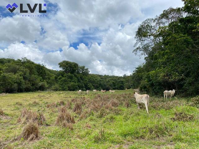 #151 - Chácara para Venda em São Miguel do Passa Quatro - GO - 2