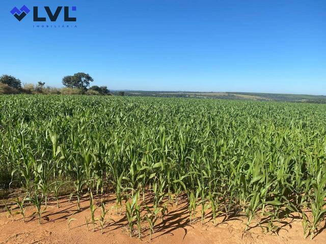 Fazenda para Venda em São Miguel do Passa Quatro - 4