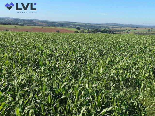 Fazenda para Venda em São Miguel do Passa Quatro - 5