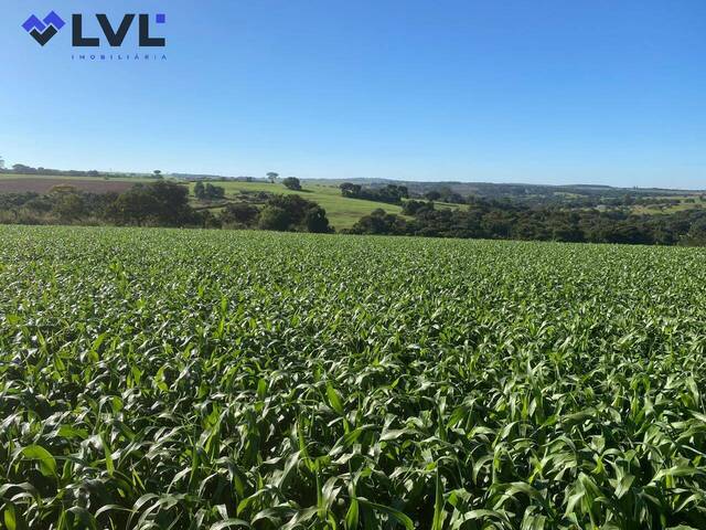 Venda em Zona Rural - São Miguel do Passa Quatro