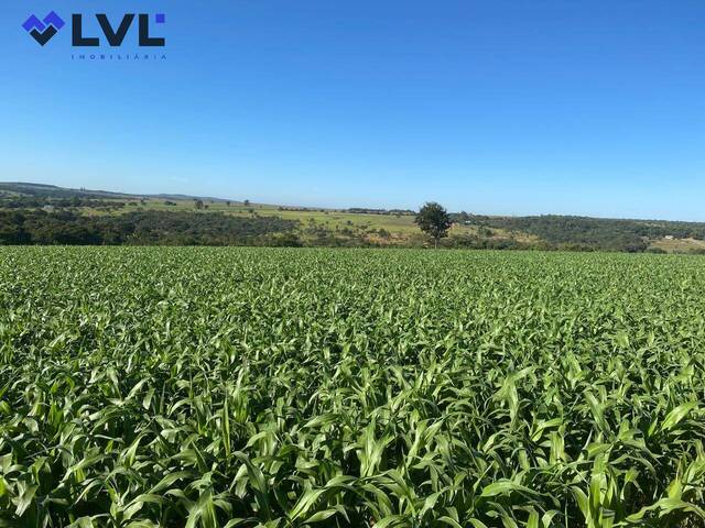#152 - Fazenda para Venda em São Miguel do Passa Quatro - GO - 2