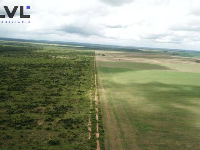 #153 - Fazenda para Venda em Santa Terezinha de Goiás - GO