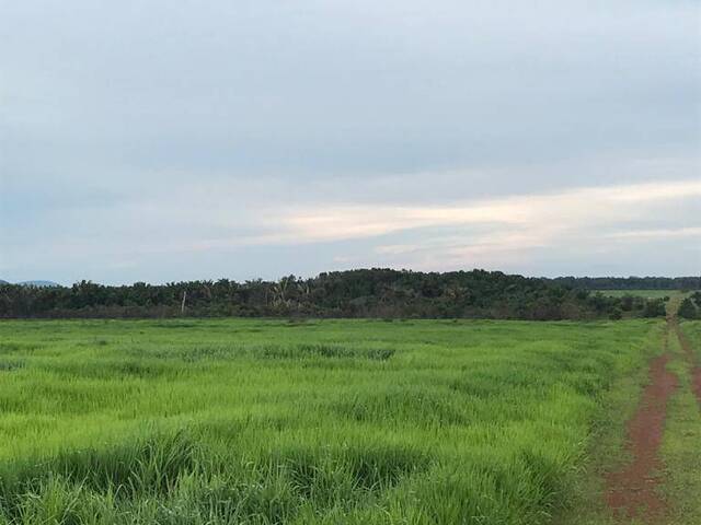 Fazenda para Venda em Santa Terezinha de Goiás - 5