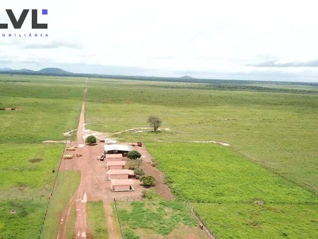 #153 - Fazenda para Venda em Santa Terezinha de Goiás - GO
