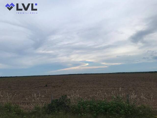 Fazenda para Venda em Santa Terezinha de Goiás - 4
