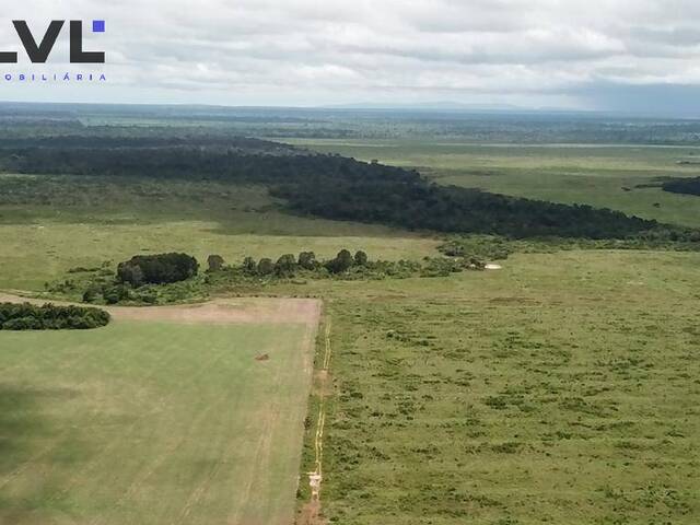 #153 - Fazenda para Venda em Santa Terezinha de Goiás - GO