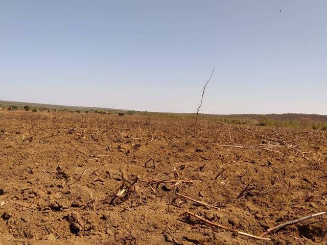 #154 - Chácara para Venda em Santa Filomena - PI - 3