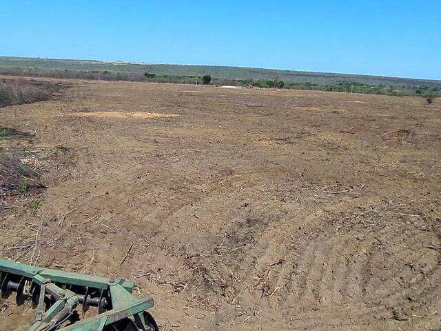 #154 - Chácara para Venda em Santa Filomena - PI - 2