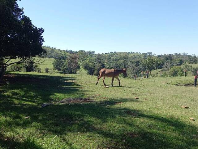 #163 - Fazenda para Venda em Itapuranga - GO