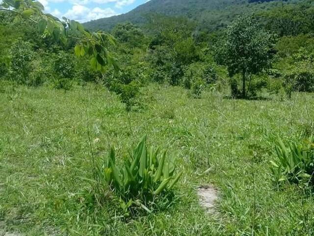 Venda em Zona Rural - Goiás