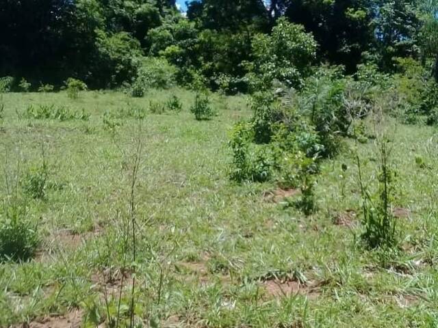 #165 - Fazenda para Venda em Goiás - GO - 2