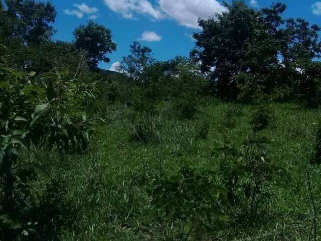 #165 - Fazenda para Venda em Goiás - GO - 3