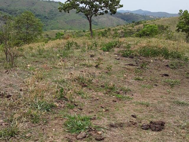 #178 - Chácara para Venda em Cocalzinho de Goiás - GO - 2