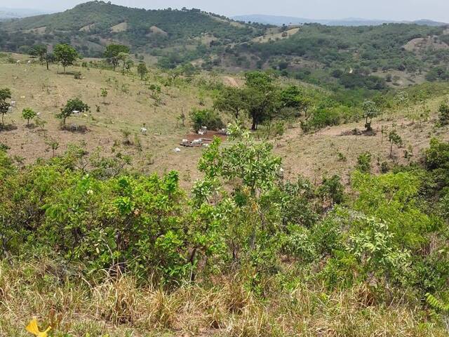 Chácara para Venda em Cocalzinho de Goiás - 4