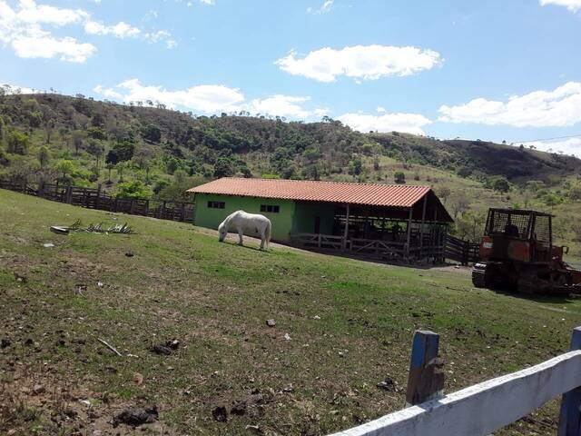#180 - Fazenda para Venda em Cocalzinho de Goiás - GO - 1