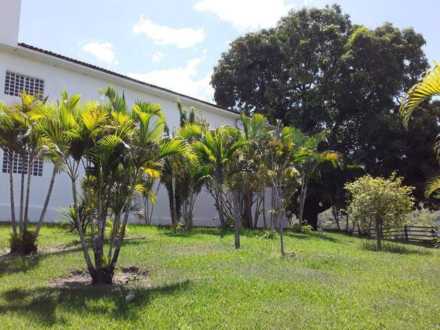 #180 - Fazenda para Venda em Cocalzinho de Goiás - GO - 2