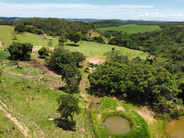 #184 - Fazenda para Venda em Abadiânia - GO - 3
