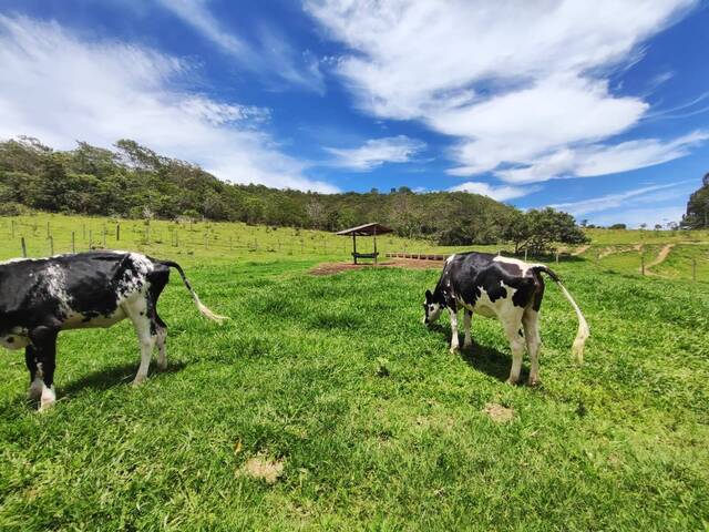 #184 - Fazenda para Venda em Abadiânia - GO - 2