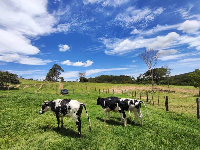 Venda em Zona Rural - Abadiânia